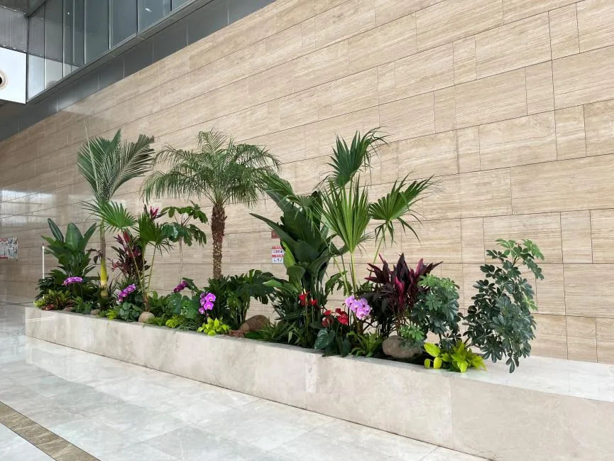 惊！前湾绿化养护竟藏这些不为人知的妙招